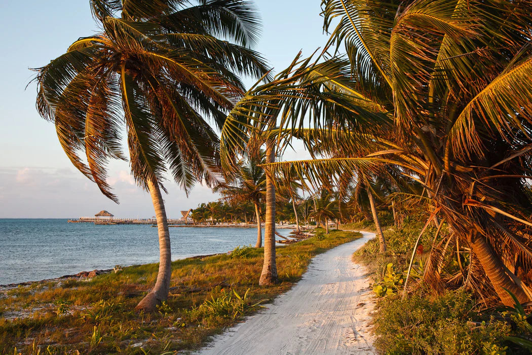 Why a Belize Travel Specialist Beats Booking Online