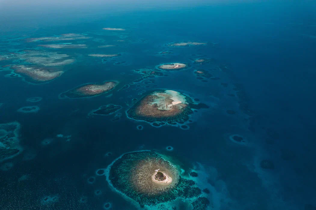 Belize Barrier Reef Diving & Snorkeling Guide