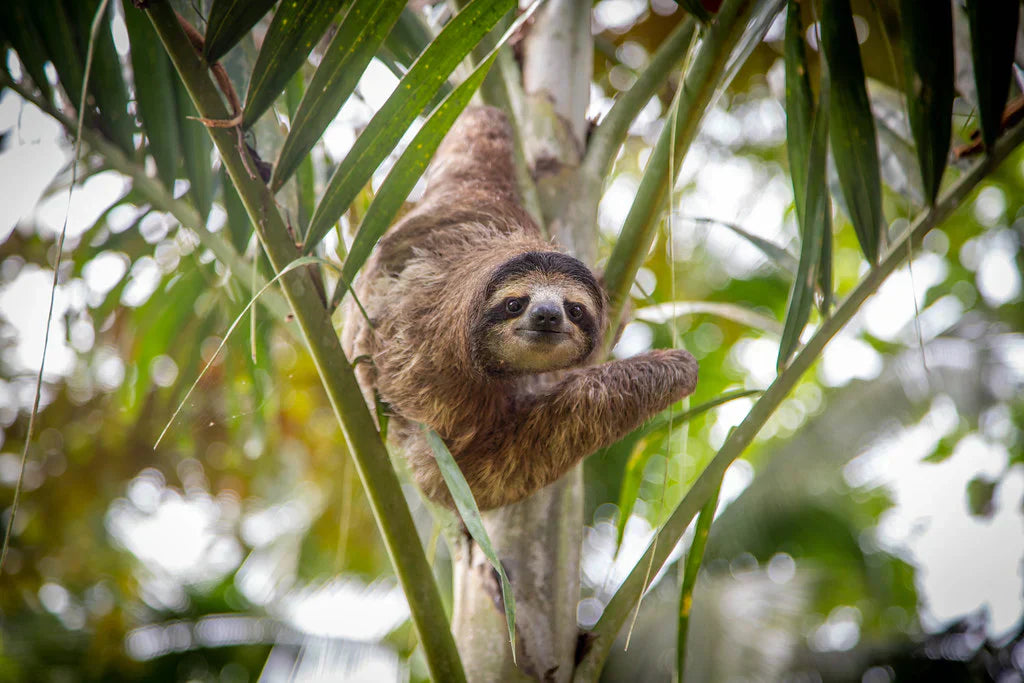 When to Visit: September Weather in Costa Rica