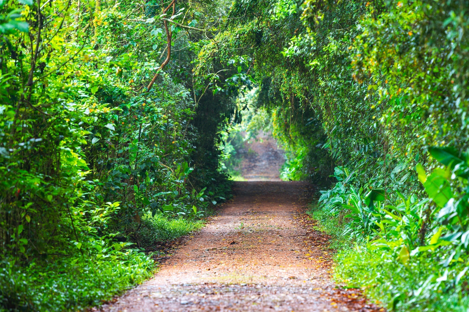 Sustainable Travel in Latin America Made Easy