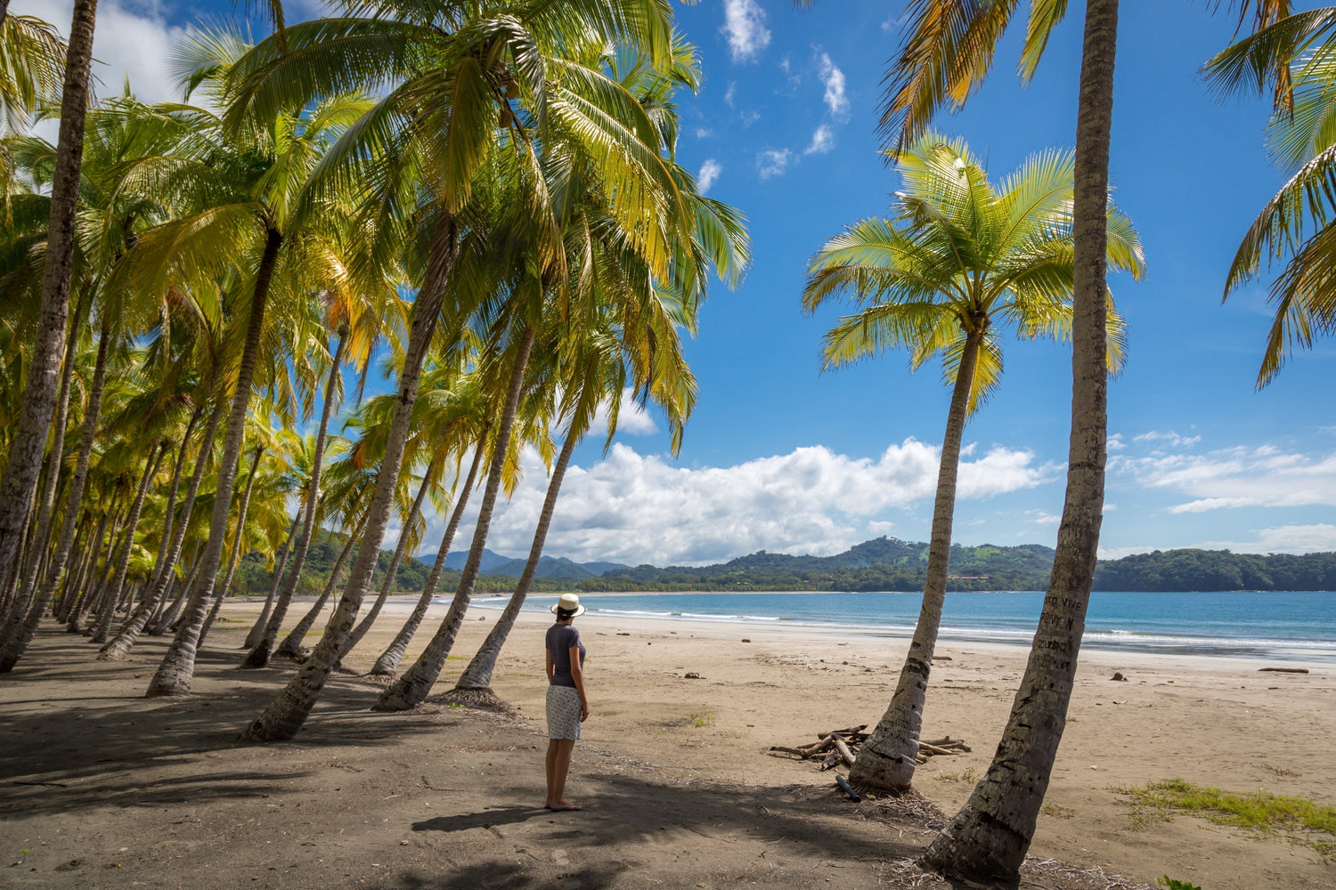 Best Time to Visit Costa Rica: Month by Month Guide