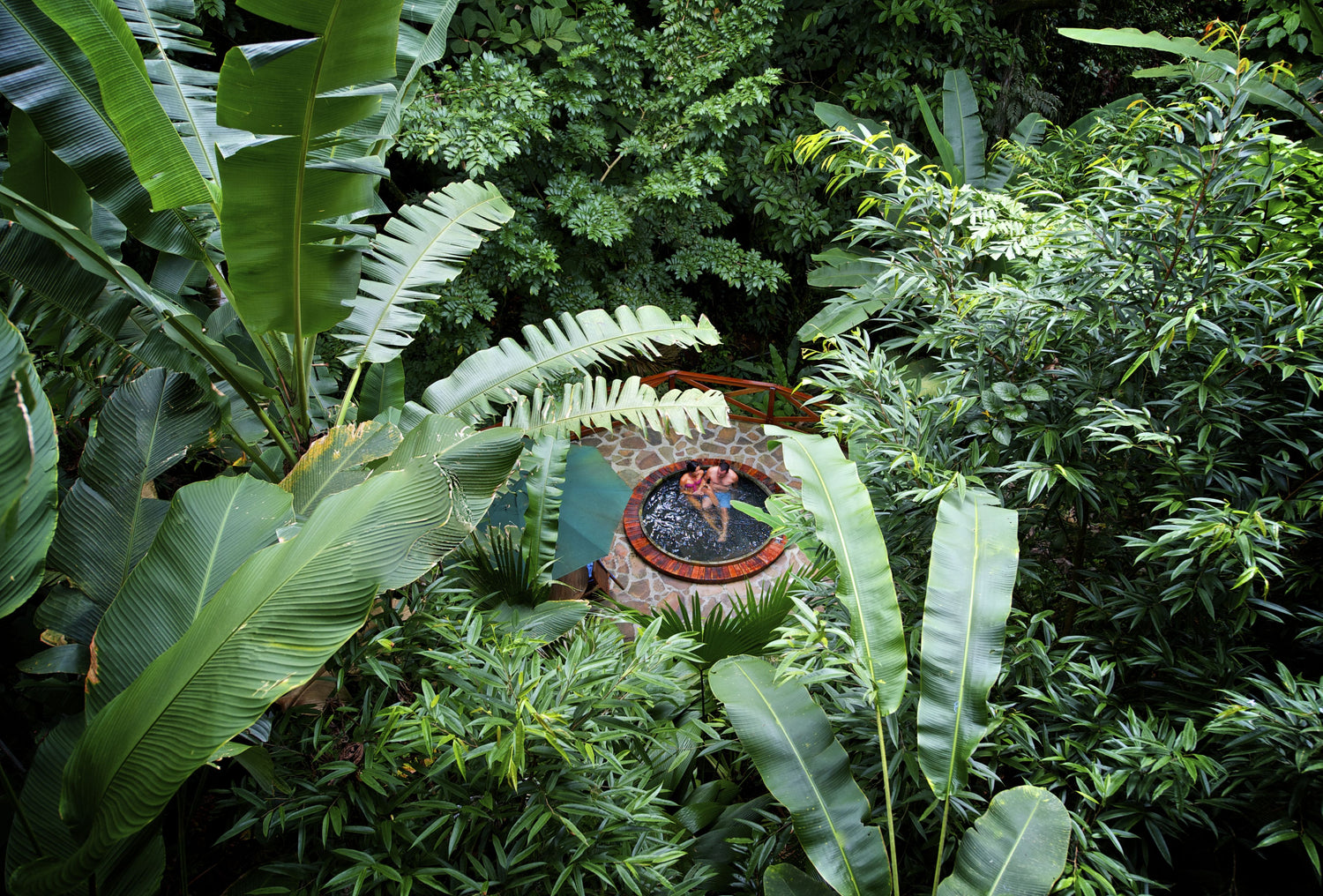 Small round window or door in a dense green forest; Nayara Springs spa, Arenal, La Fortuna, Costa Rica.
