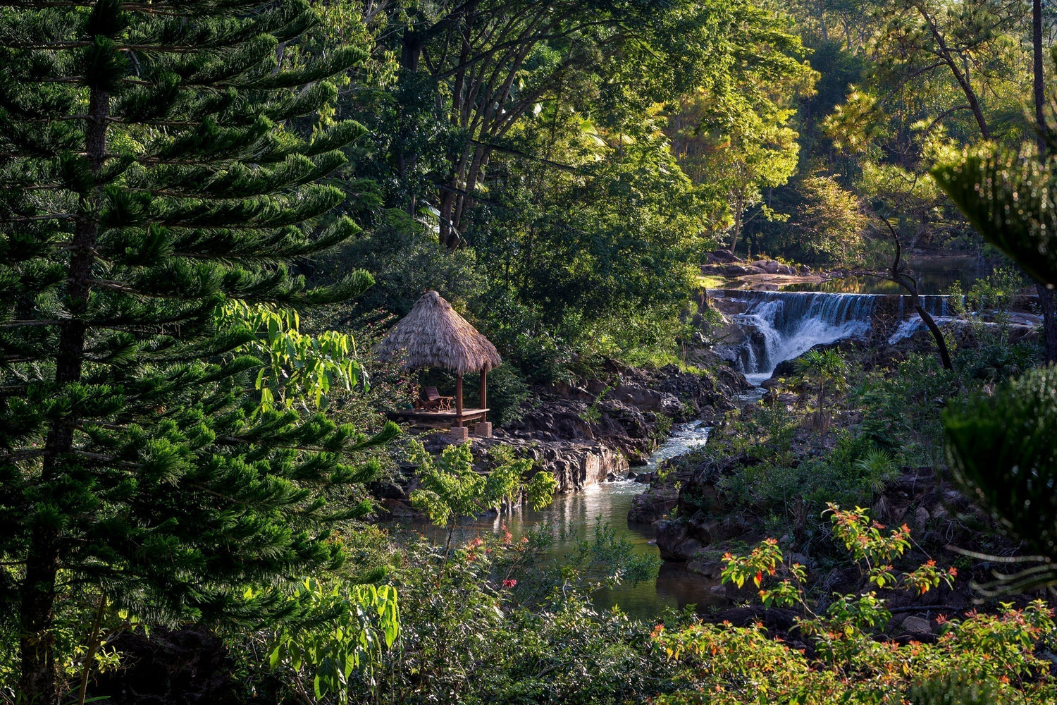 10 Belize Waterfalls Worth Chasing