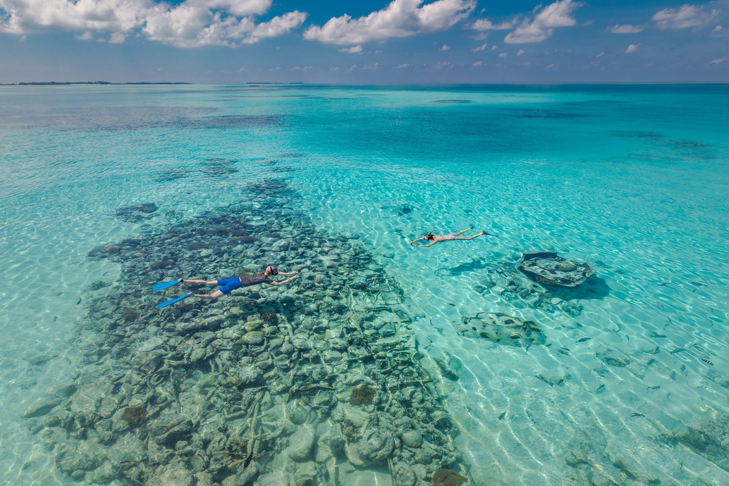 Caribbean Snorkeling Guide: When to Go, Where to Go, and What You’ll See