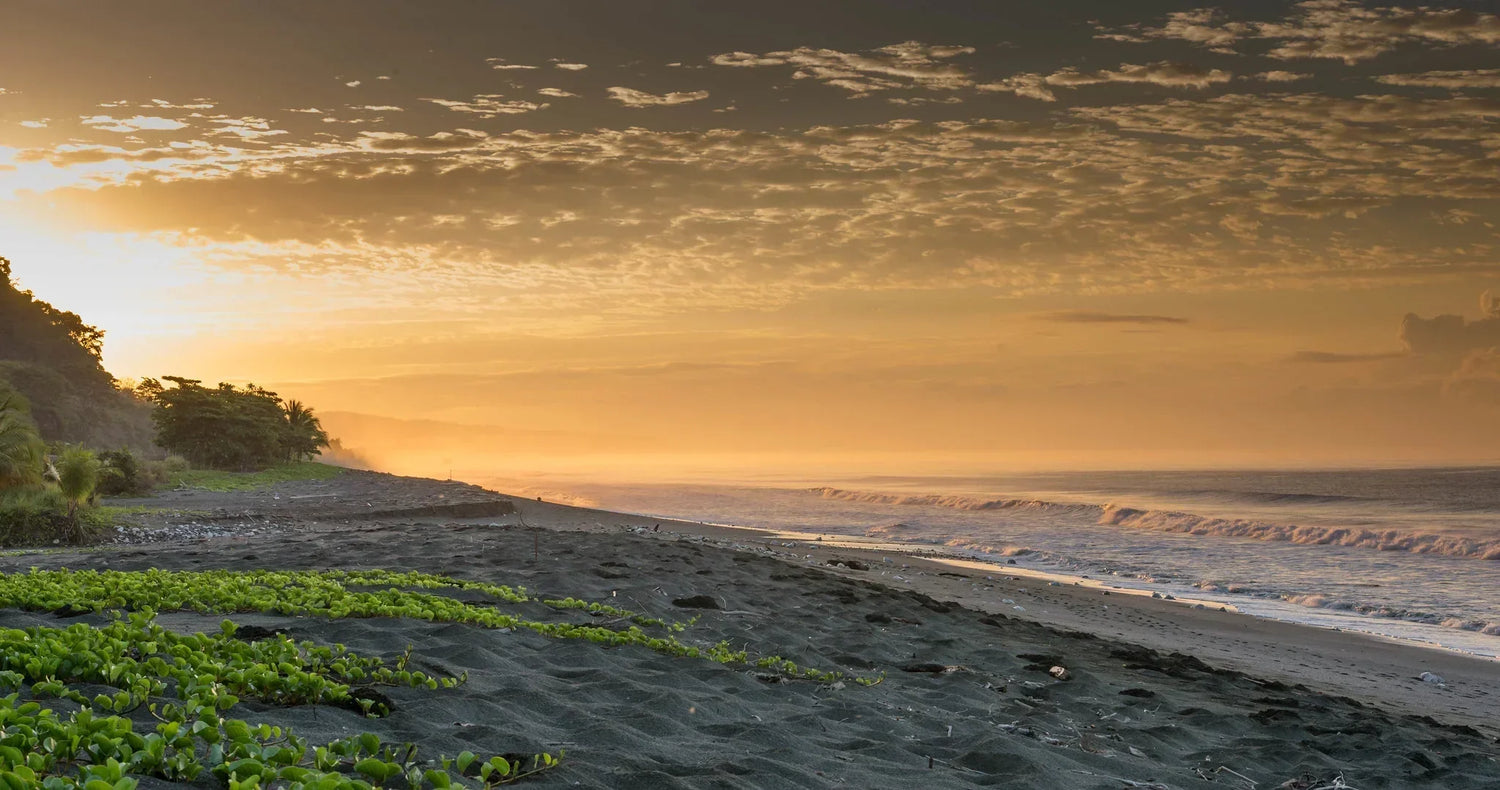 When to Visit: January Weather in Costa Rica