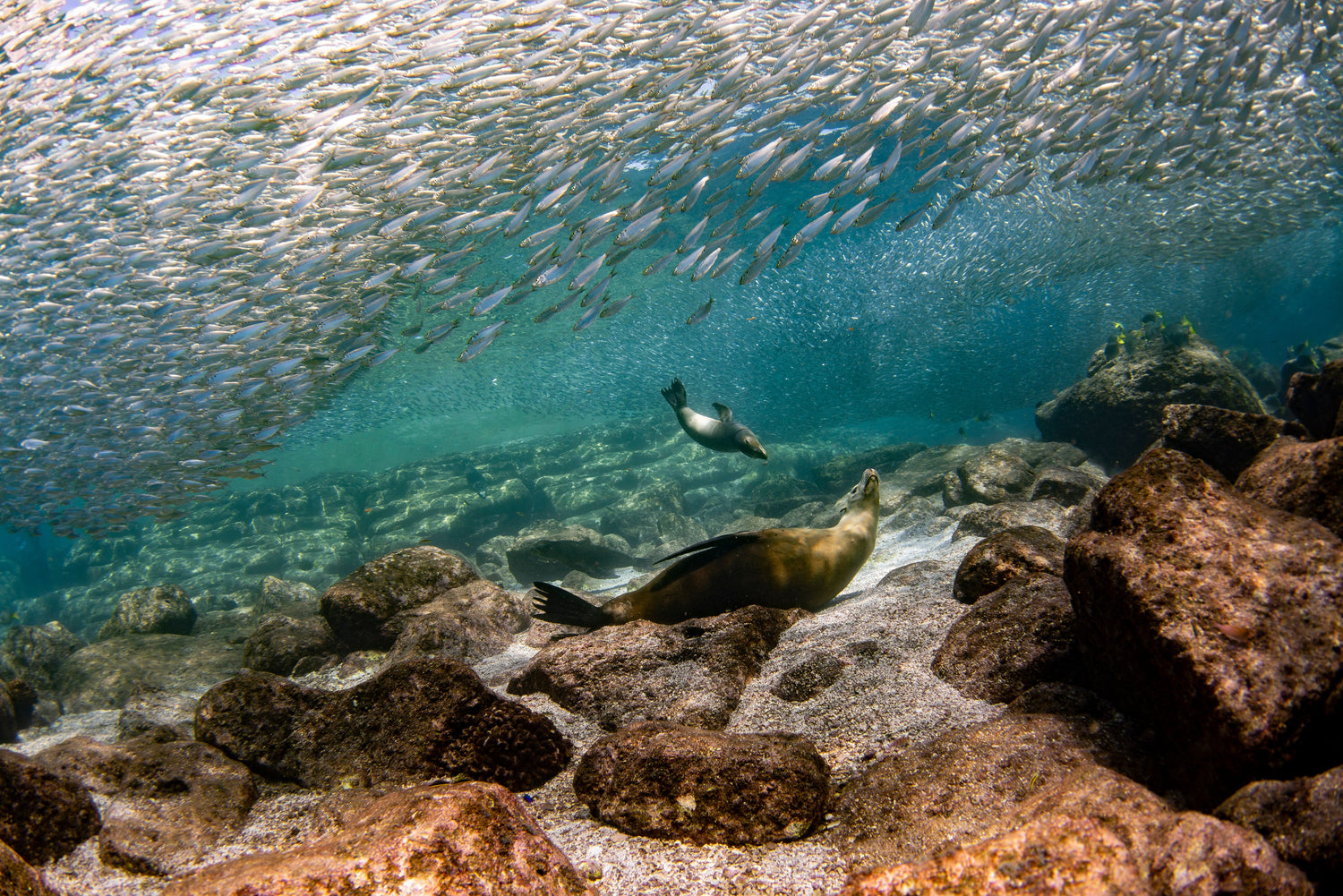 When to Visit the Galápagos: Month-by-Month