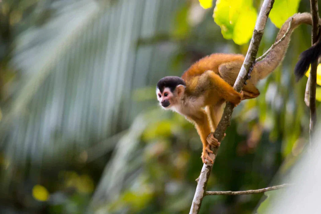 When to Visit: February Weather in Costa Rica