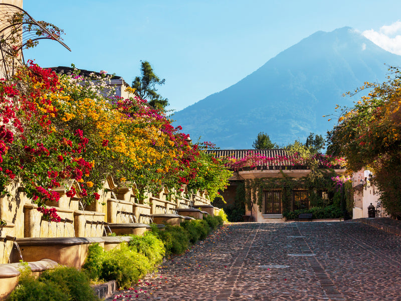 Pathway lined with colorful flowers leading to a building with Mount Fuji in the background; Antigua, Guatemala