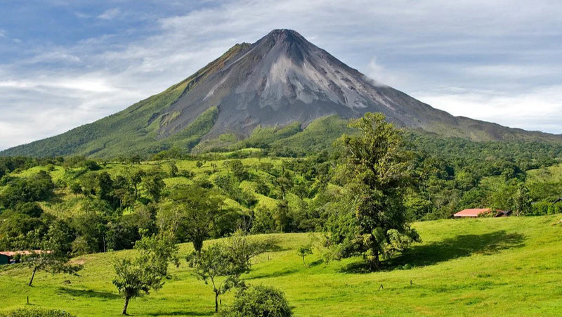 Volcano in the background with green trees and grass in the foreground; La Fortuna, Arenal, Costa Rica