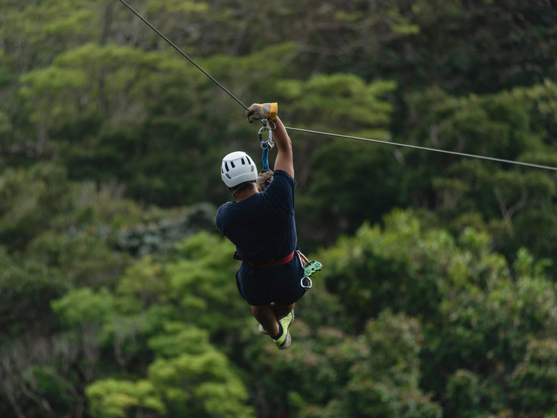 Person ziplining through a forest; Arenal, Costa Rica