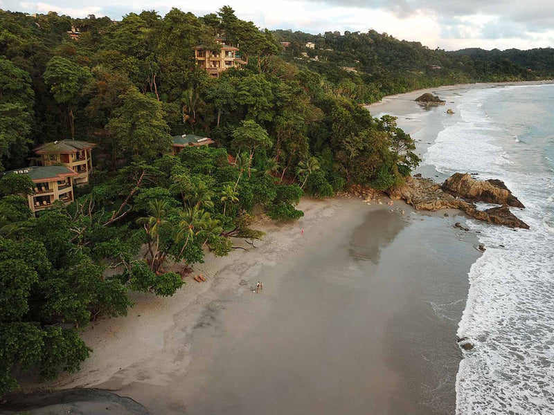Beach with houses nestled among trees, surrounded by ocean waves; Arenas del Mar, Manuel Antonio, Costa Rica