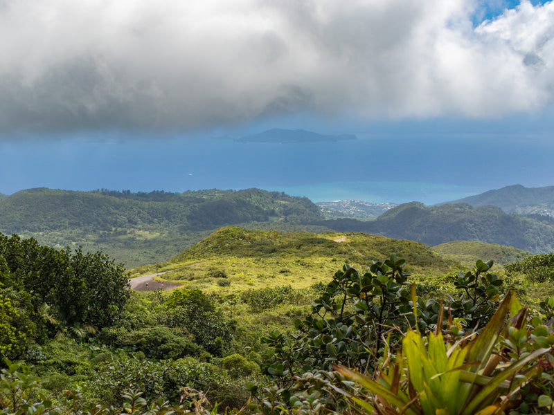 Guadalupe Basse Terre highlands