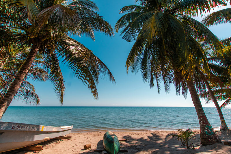 Beach scene with palm trees, a boat, and clear blue sky; Belize beach in Hopkins
