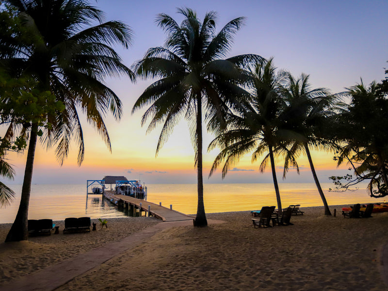 Belize Hopkins