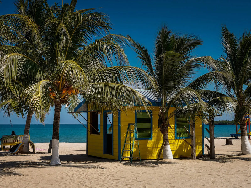 Yellow hut on a sandy beach with palm trees and blue sky; Placencia town beach, Belize