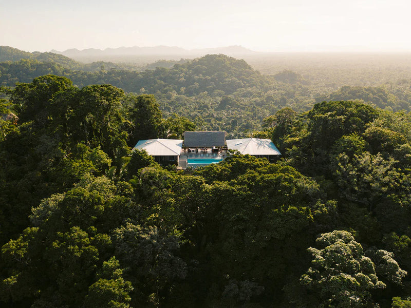 Houses nestled among lush green trees with a pool, surrounded by nature; Copal Tree Lodge, Punta Gorda, Belize