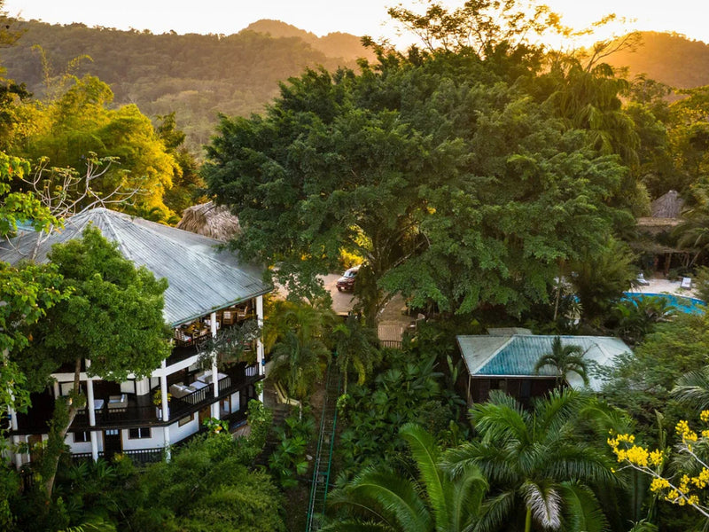 Houses nestled among lush green trees with a mountainous background; Copal Tree Lodge, Punta Gorda, Belize