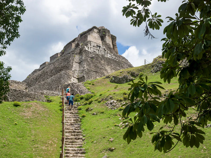 Mayan pyramid with stairs leading up, surrounded by greenery; Xunantunich Mayan ruins, Cayo, Belize