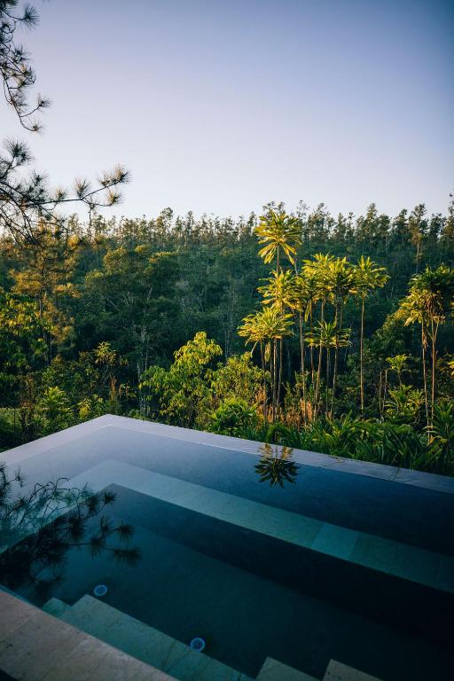 Infinity pool with a forest view, Blancaneaux Lodge Mountain Pine Ridge, private plunge pool, Belize