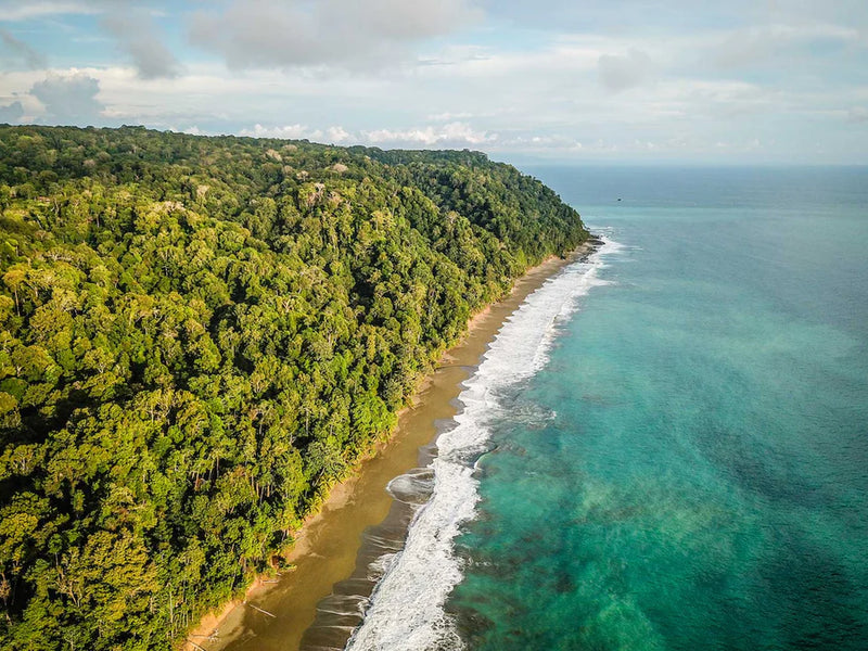 Coastal area with lush green forest and clear blue ocean, Cabo Matapalo, Osa Peninsula, aerial Costa Rica