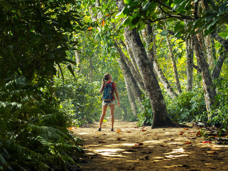 Person walking through a dense forest on a dirt path; Cahuita, South Caribbean, Costa Rica