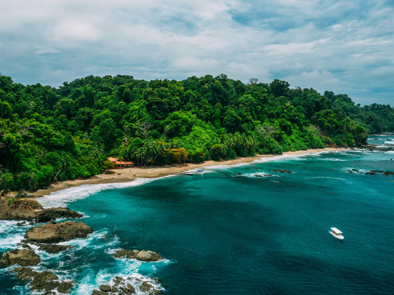 Coastal scene with lush greenery, a beach, and clear blue water; Cano Island, Osa Peninsula, Costa Rica