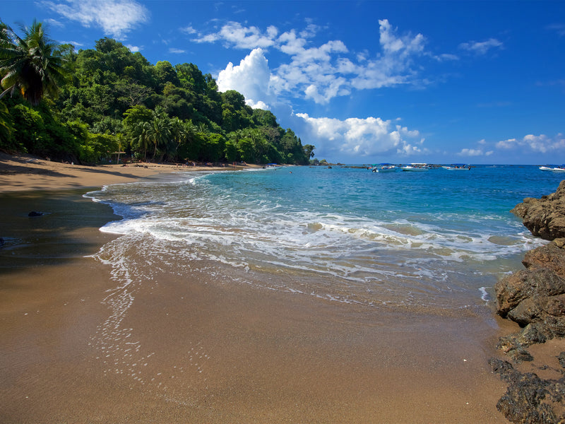 Beach scene with clear blue water, sandy shore, and tropical trees; Cano Island, Dominical, Costa Rica