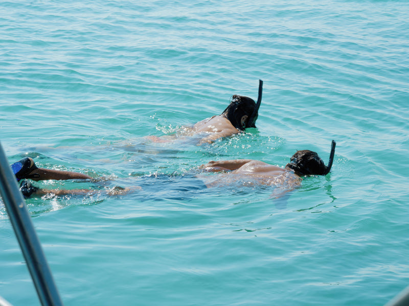 Isla Holbox Mexico Casa Las Tortugas boating