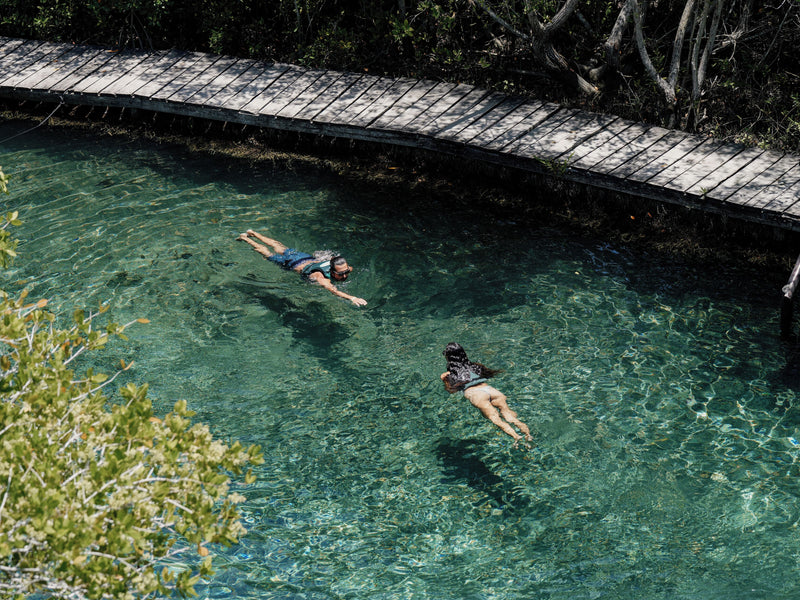 Isla Holbox Mexico Casa Las Tortugas snorkeling