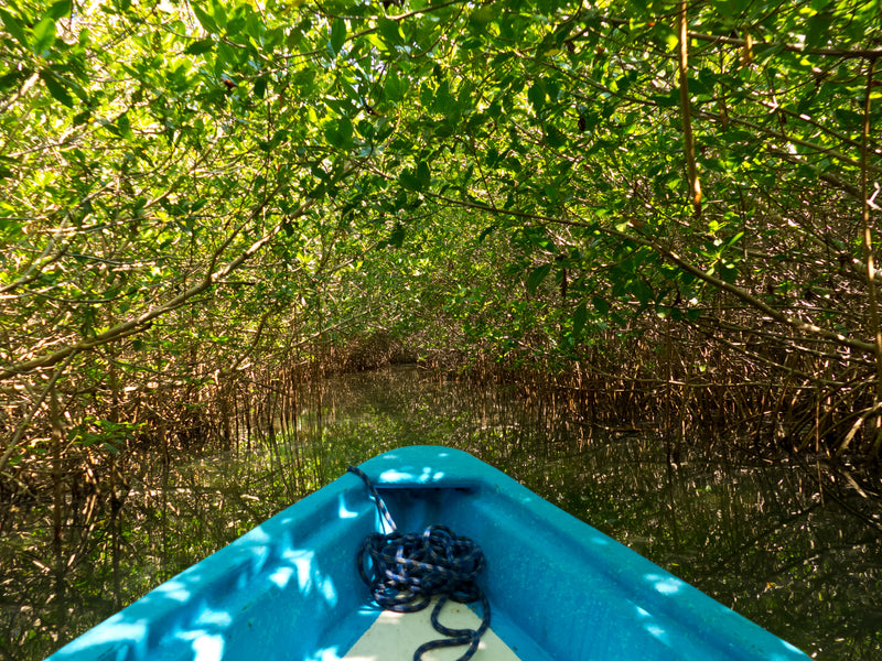 Mexico Chacahua Lagoon boat