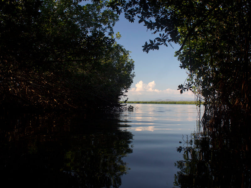 Mexico Chacahua Lagoon