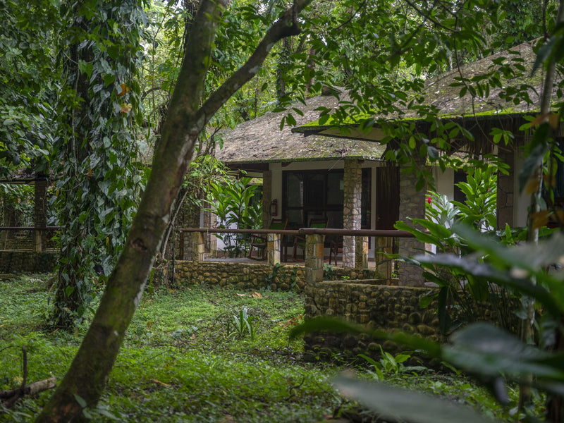 Palenque Chan Kah Mexico cabins