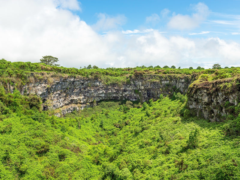 Santa Cruz Galapagos cloud forest Ecuador