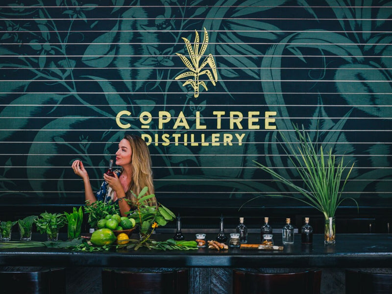 Person behind a bar with Copal Tree Distillery branding in the background; Copal Tree Lodge, Punta Gorda, Belize