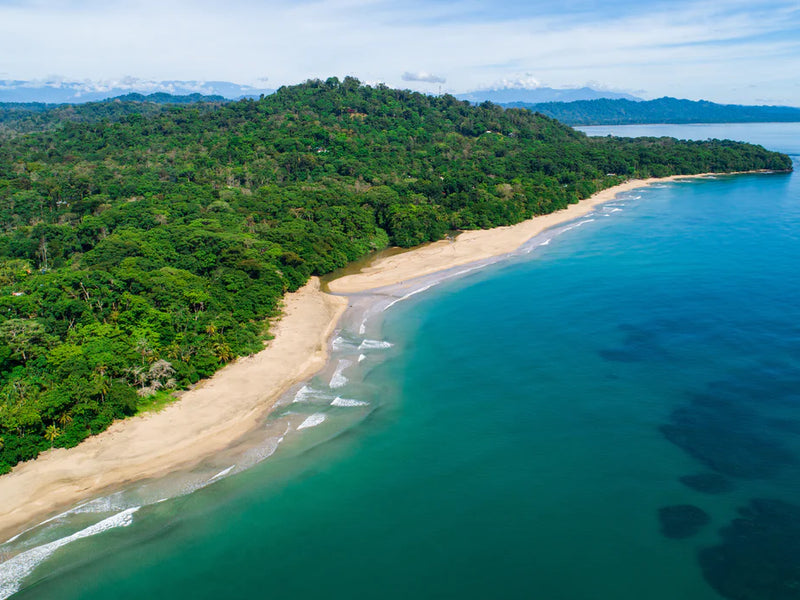 Aerial view of a tropical beach with lush green forest and clear blue water; Puerto Viejo, South Caribbean, Costa Rica