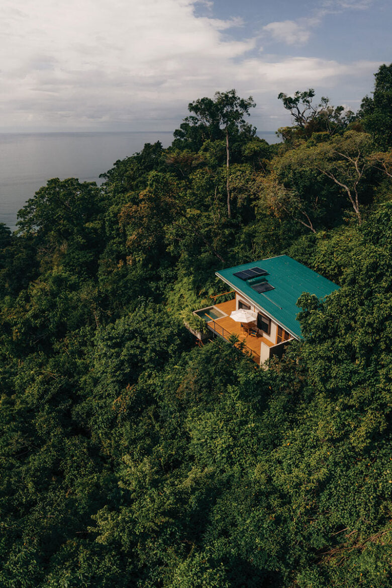 Treehouse with a green roof nestled in a dense forest overlooking water El Remanso Lodge Costa Rica Osa Peninsula