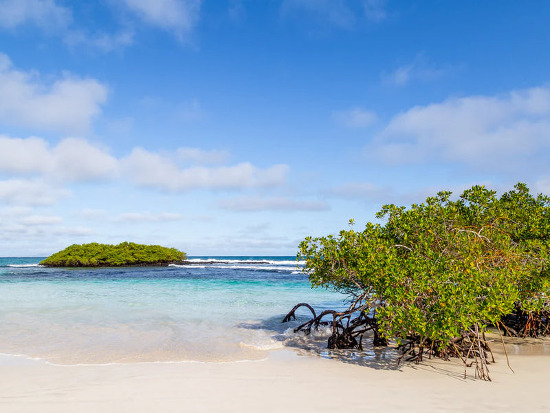 Galapagos Turtle Bay Santa Cruz turquoise water