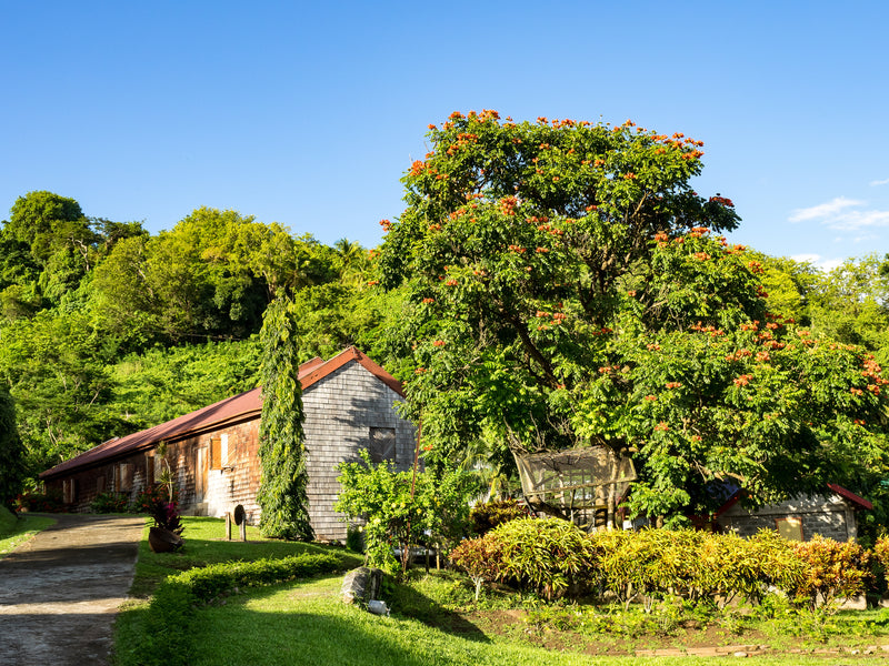 Grenada Belmont Estate