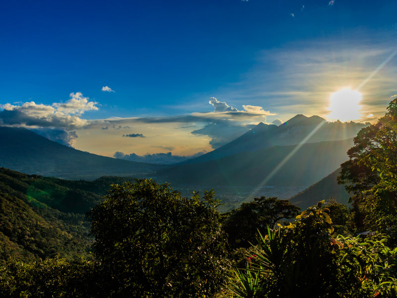 Sunrise over a mountain range with trees in the foreground; Antigua, Guatemala