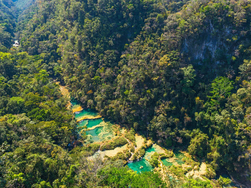 Vibrant turquoise water pools nestled within a lush green forest, Semuc Champey, Guatemala