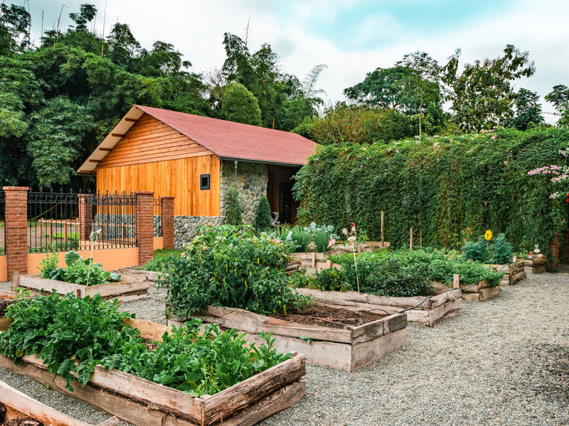 Hacienda La Danesa Ecuador garden