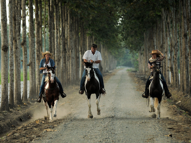 Hacienda La Danesa horseback riding Ecuador