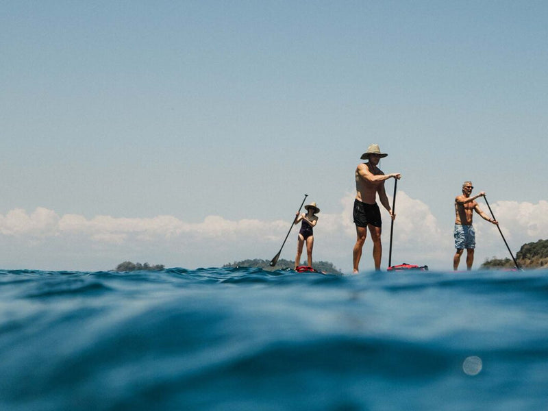 Islas Secas Panama paddle boarding