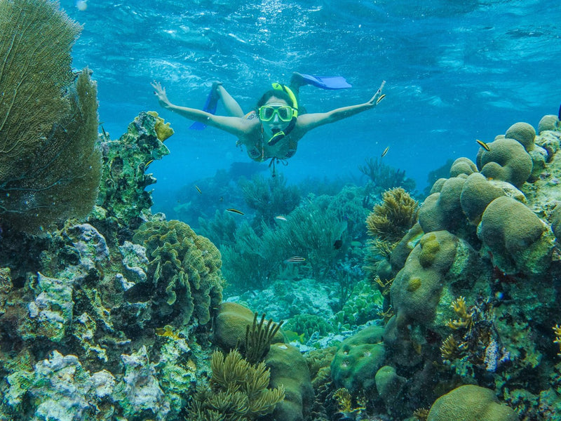 JR snorkeling Hopkins