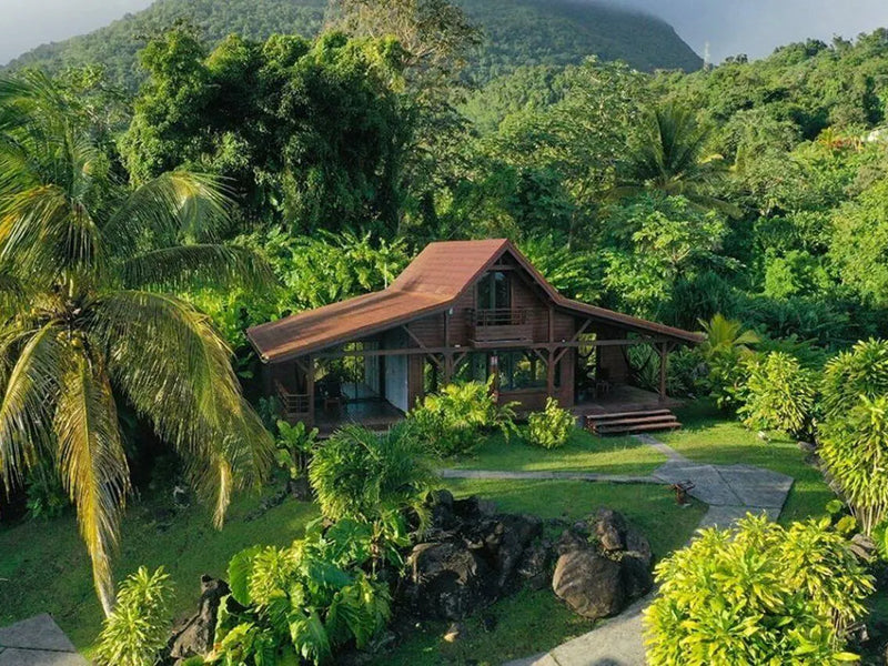 Le Jardin Malanga Guadeloupe cabin in garden