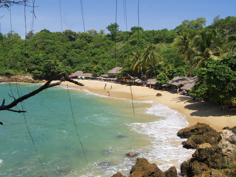 Mexico Puerto Escondido beach