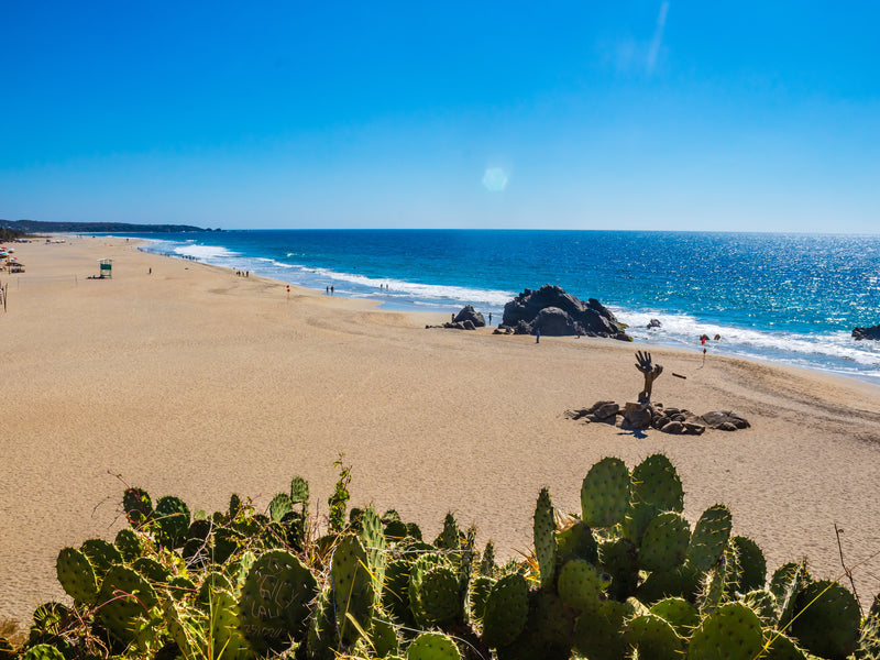 Mexico Puerto Escondido cacti beach