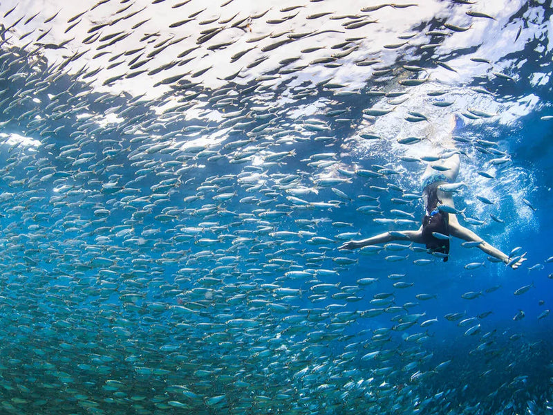 Mexico Balandra snorkeling
