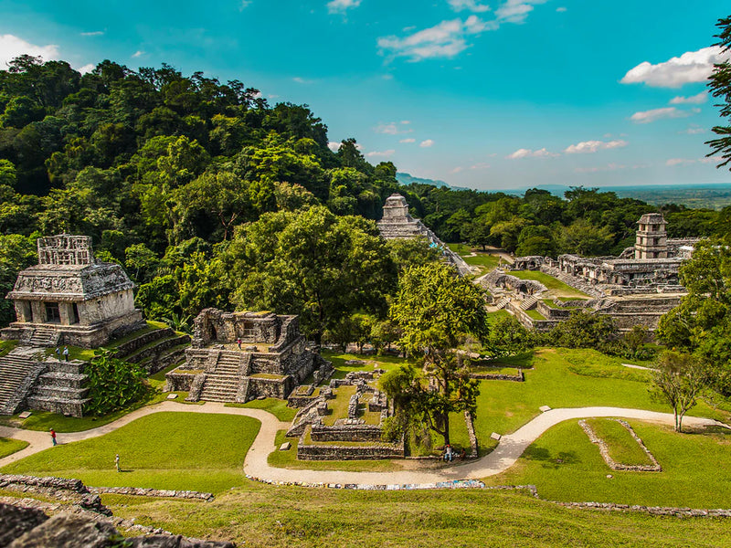 Ancient Mayan ruins surrounded by lush greenery under a clear blue sky. Palenque, Mexico.