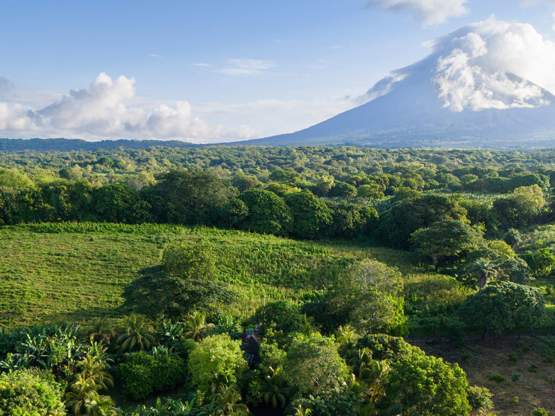 Nicaragua Concepcion volcano green panorama